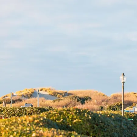 Les Oiseaux Le Touquet